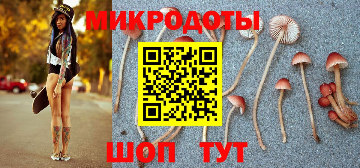 Псилоцибиновые грибы GOLDEN TEACHER Бирск